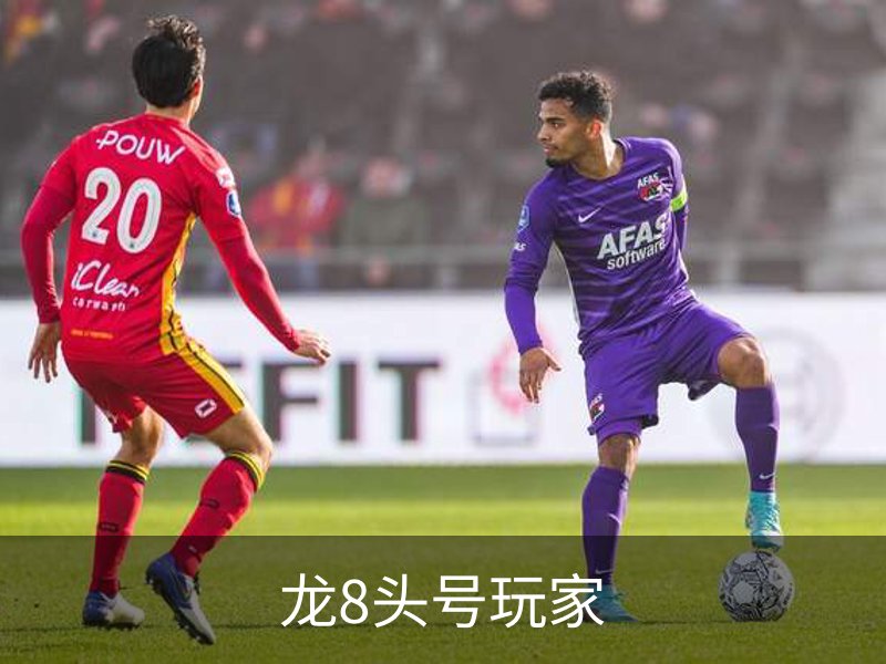 龙8头号玩家介绍